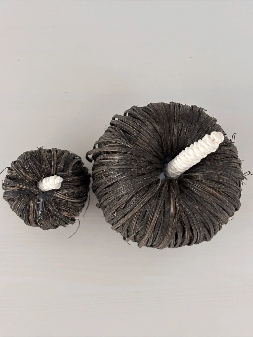 TARGET (2) Black Raffia Pumpkins